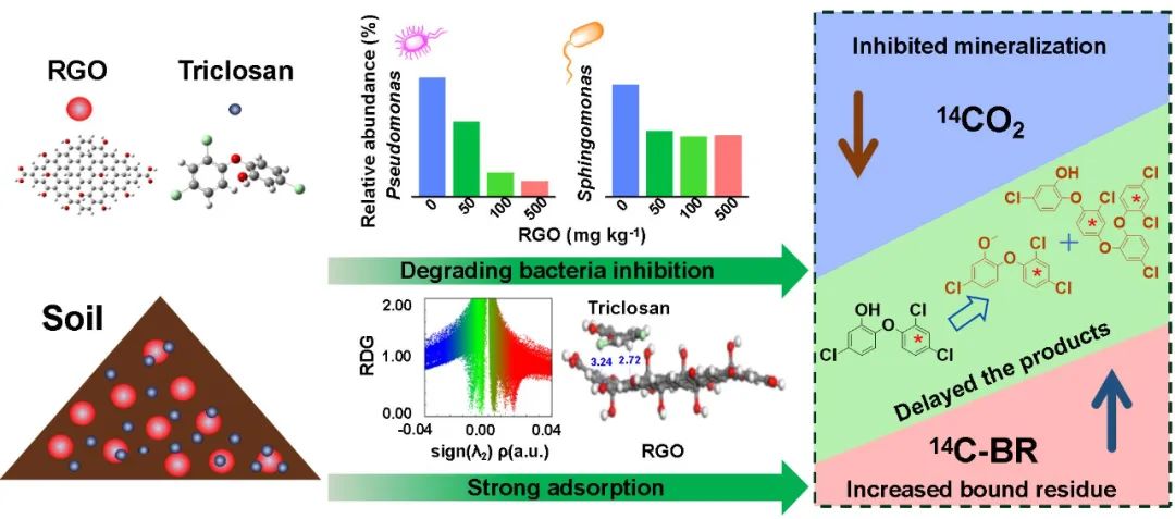 浙江大学汪海燕团队STOTEN｜还原氧化石墨烯纳米材料对14C-三氯生在土壤中降解转化的影响