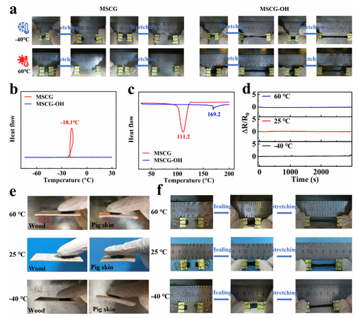 郑州大学孙红玲团队《ACS AMI》：高导电CCNF/rGO复合水凝胶，用于柔性智能电子产品