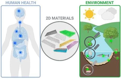 IF 17.1！ 石墨烯和其他二维材料的环境和健康影响：石墨烯旗舰视角