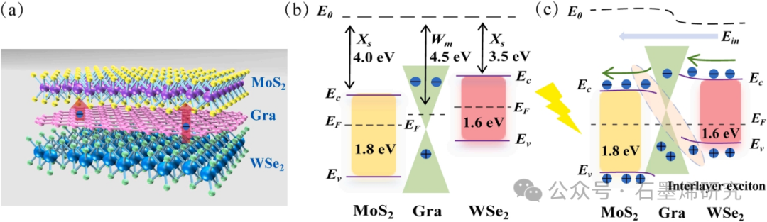 复旦大学--石墨烯传输层对mos2石墨烯wse2范德华异质结层间电荷转移机制和宽带光学性质的调制作用研究