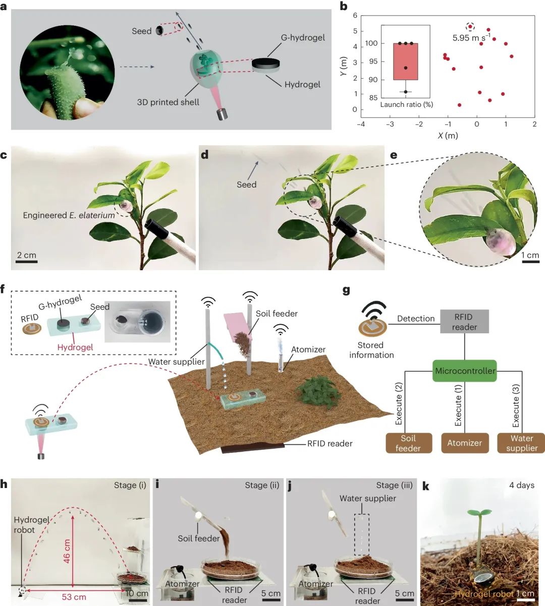 浙大/香港中文合作石墨烯新应用，Nature Materials！