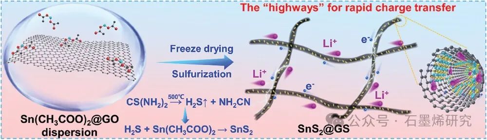 ​河北工业大学Fei Cheng等--简便的原位硫化策略，用于异质结构SnS2@石墨烯卷轴负极，提高高能锂存储的初始库仑效率