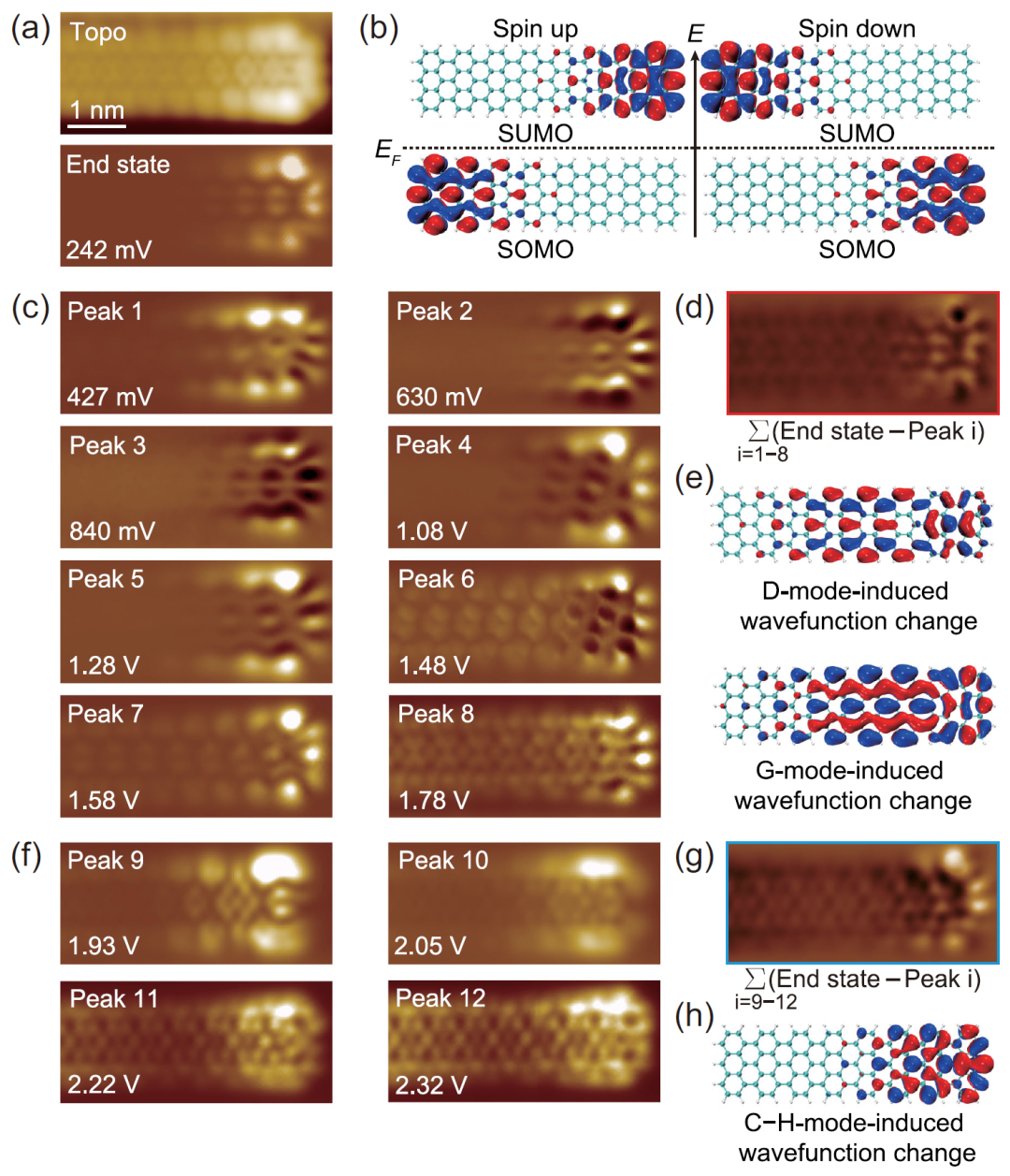 中国科学技术大学王兵/马传许团队Phys. Rev. Lett.: 第二层石墨烯纳米带中的拓扑局域振动激发