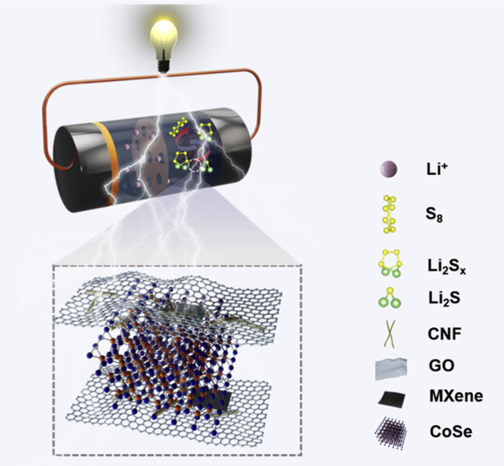 北航：自组装的3D CoSe基硫主体可实现高效、持久的多硫化物电催化转化，用于柔性锂硫电池