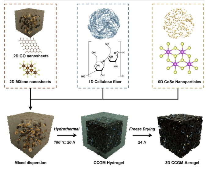 北航：自组装的3D CoSe基硫主体可实现高效、持久的多硫化物电催化转化，用于柔性锂硫电池