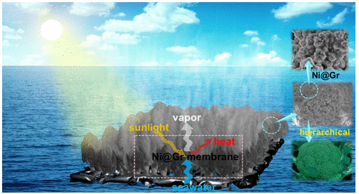 长春工业大学《Nano Lett》：西兰花状黑镍/石墨烯复合膜，用于太阳能热能转换海水淡化