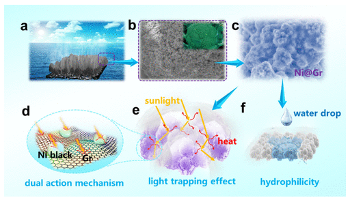 长春工业大学《Nano Lett》：西兰花状黑镍/石墨烯复合膜，用于太阳能热能转换海水淡化