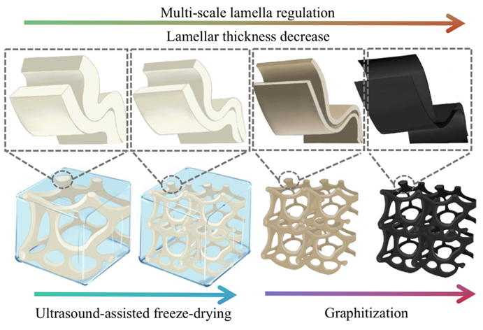 川大《ACS ANM》：多尺度片层调控策略制备3D类石墨烯纳米结构用于电磁屏蔽和热管理