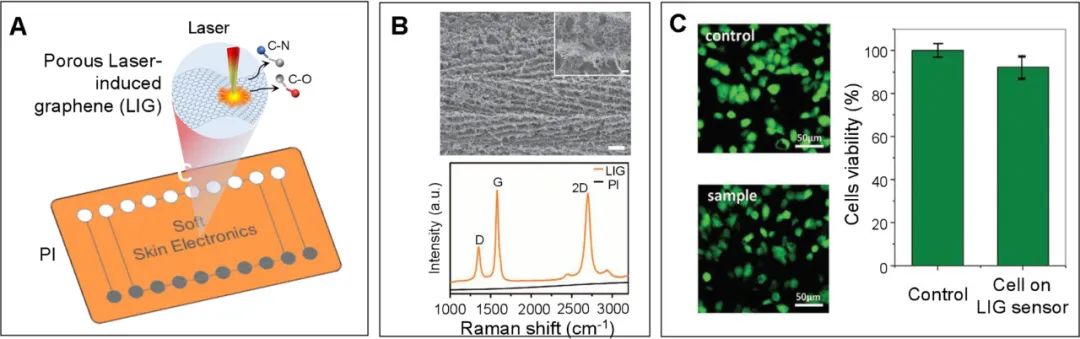 香港城市大学马治强、邱美孌教授综述：基于激光诱导石墨烯的柔性皮肤电子设备在智能医疗中的最新进展