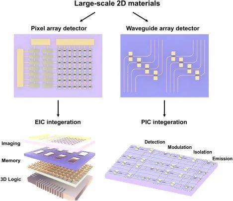 Physics Reports | 重磅！二维材料在光电探测中的创新与应用前景！