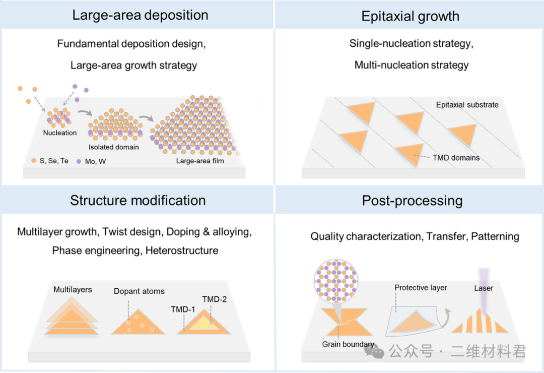 2024, Chemical Reviews，综述分享——大面积外延生长过渡金属二硫化物的进展