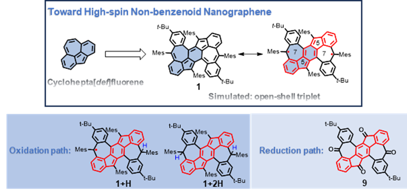 EurJOC：基于环庚基[def]芴单元合成具有高自旋基态的非苯类纳米石墨烯