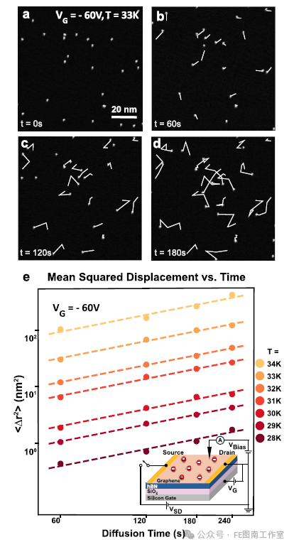 ACS Nano：石墨烯场效应晶体管上的栅控可调分子扩散！！