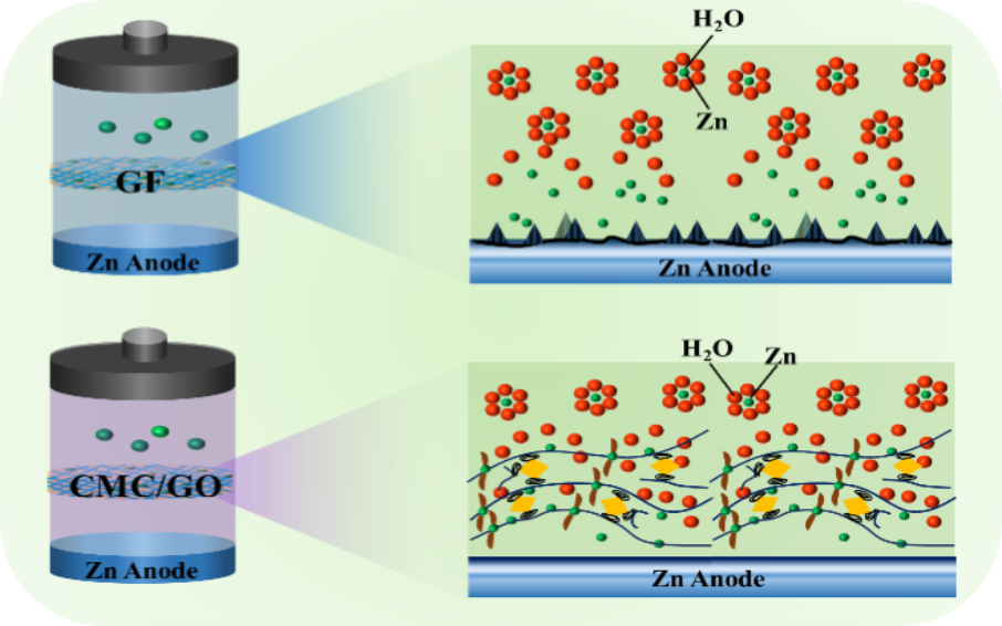 兰州理工大学冉奋教授GEE｜氧化石墨烯基功能性水凝胶电解质稳定锌阳极