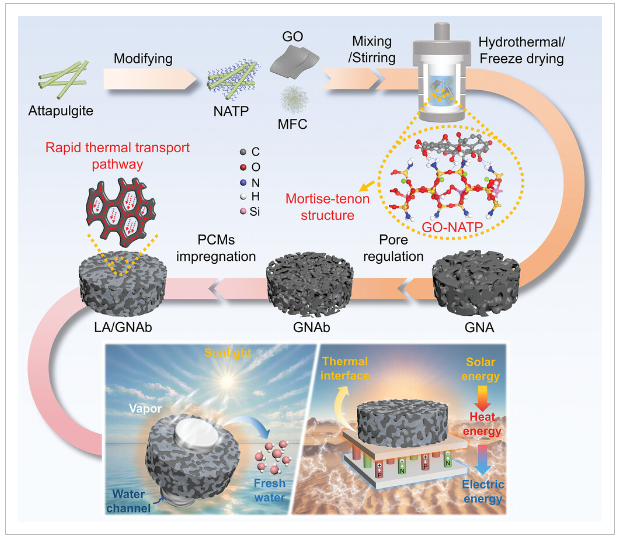 中国地质大学(武汉)《AFM》：受榫卯结构启发制备石墨烯复合气凝胶，用于高效的太阳能驱动海水淡化和发电