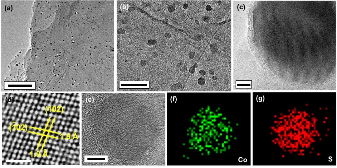 马里兰大学胡良兵团队Nano Res.：高温超快合成CoS@石墨烯核壳纳米颗粒促进高效水分解