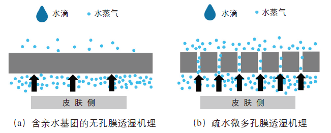 一文读懂防水透湿薄膜的种类及应用