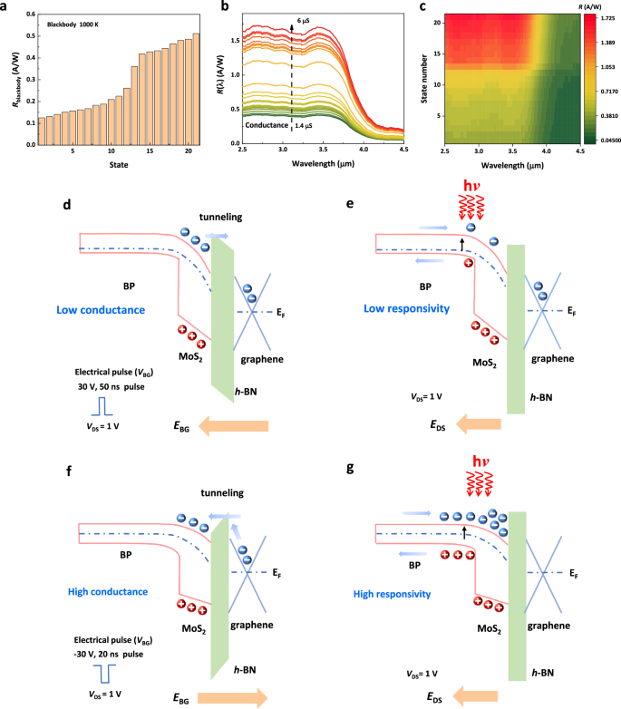 Nature Communications | 复旦大学：二维材料集成方法助力新一代中波红外光电探测器！