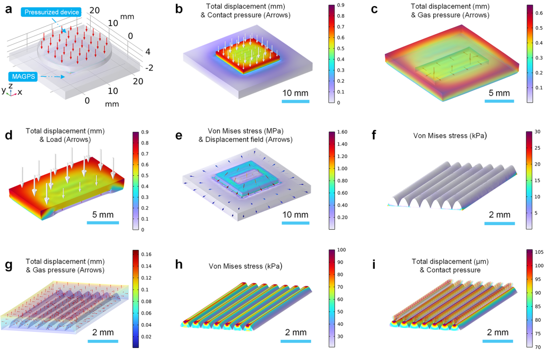 中山大学周建华/乔彦聪团队 Nano Research：用于单血管局部血压监测的微腔辅助石墨烯压力传感器