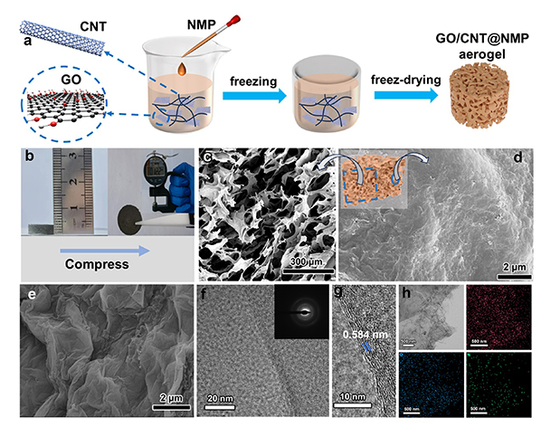 哈尔滨工程大学《2DM》：三维GO/CNT@NMP气凝胶，用于一次锂金属电池