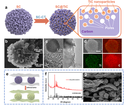 浙江大学《 ACS Nano》：滚筒状孢子碳球定向石墨烯纤维，用于锂硫电池