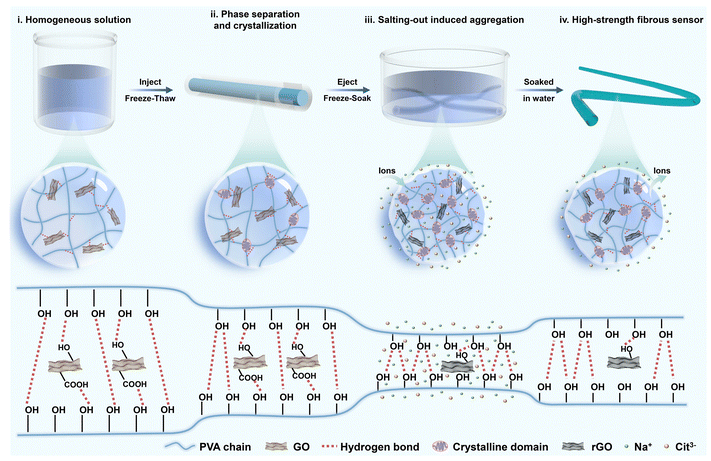 东华大学《JMCB》：基于PVA/石墨烯复合气凝胶的传感器，用于医学诊断和治疗