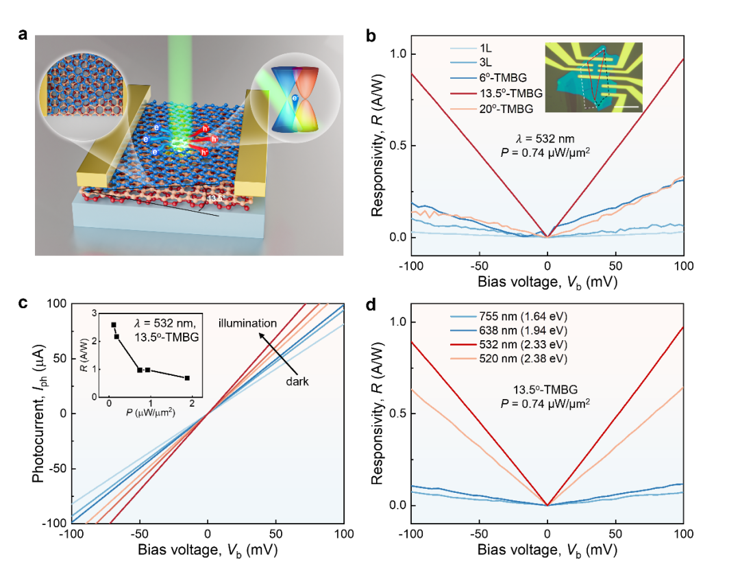 国防科技大学朱梦剑 ACS Nano｜1+2＞3，转角赋能高响应度石墨烯光电探测器