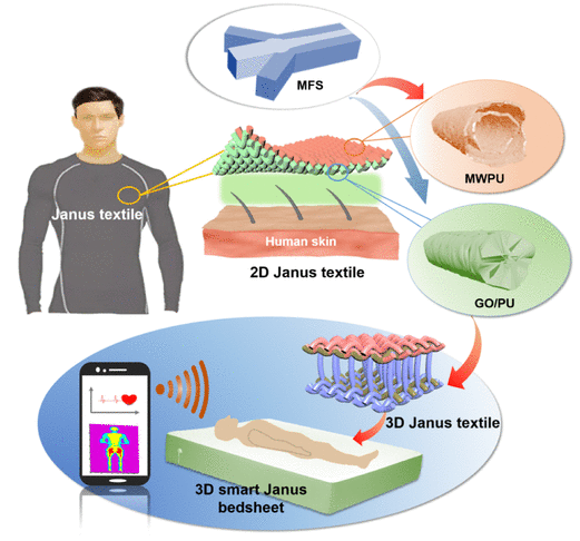 青岛大学《ACS ANM》：受兔毛启发！石墨烯/聚氨酯混合纤维，用于热管理和传感器