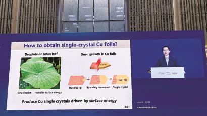 世界顶尖科学家物质科学大会上，两位嘉宾创新思路不约而同 一片荷叶蕴藏多少创新灵感