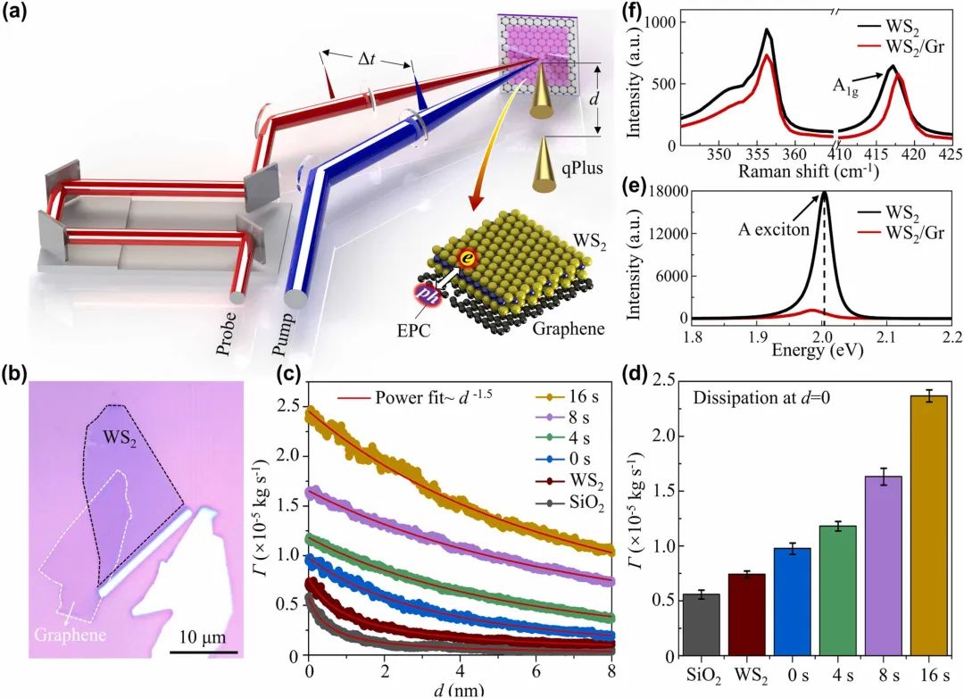 清华大学雒建斌、刘大猛、刘欢Nano Energy：通过超快层间电子-声子耦合控制WS2/石墨烯异质结构中的摩擦能量耗散