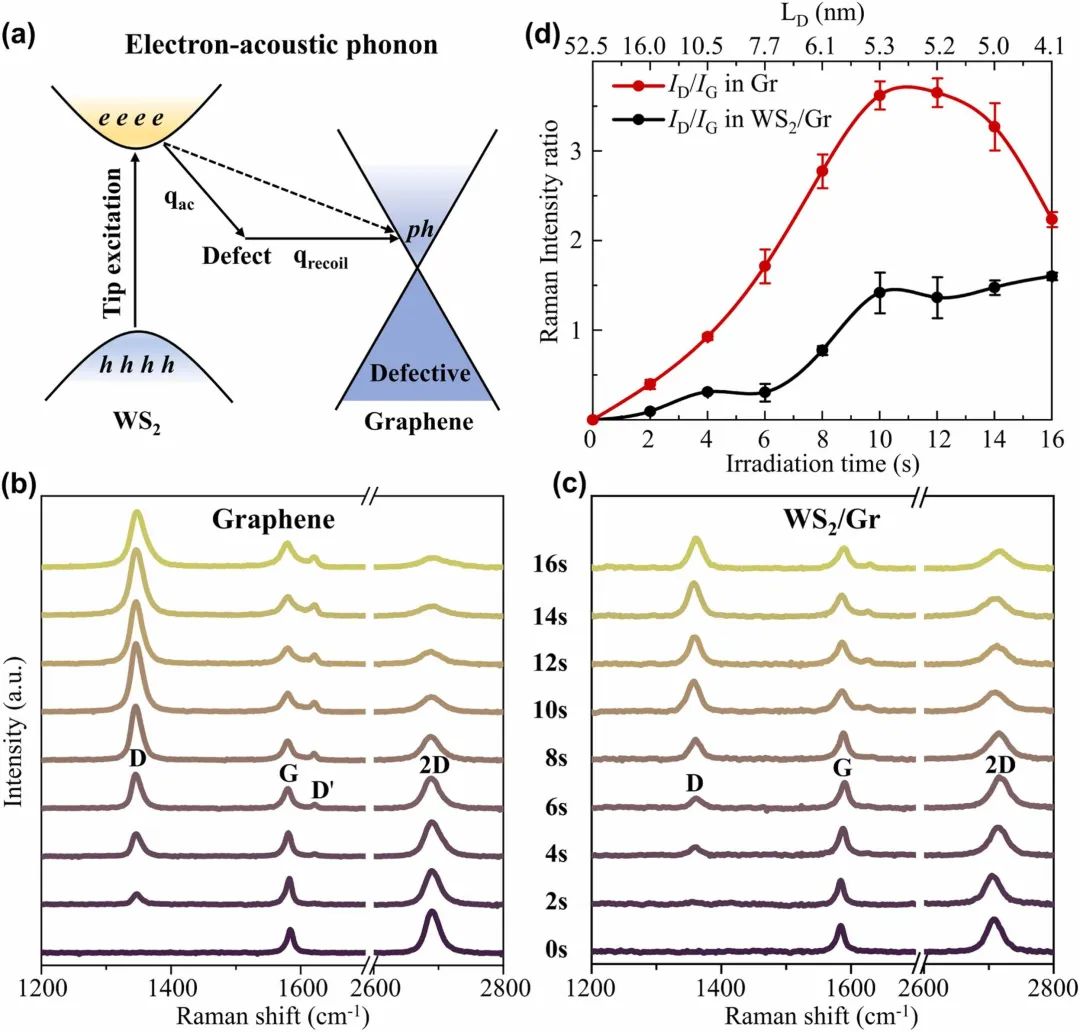 清华大学雒建斌、刘大猛、刘欢Nano Energy：通过超快层间电子-声子耦合控制WS2/石墨烯异质结构中的摩擦能量耗散