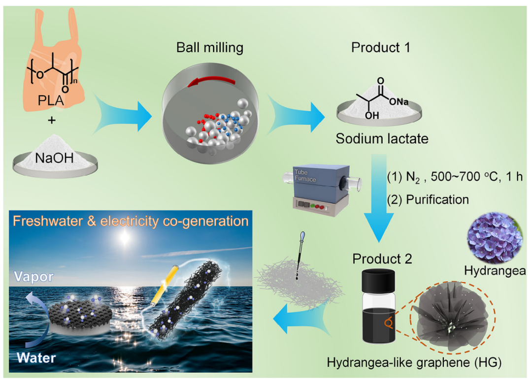SusMat | 文献前沿 | 废聚乳酸盐助碳化类绣球石墨烯界面蒸发