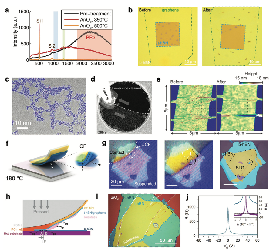 纽约大学，超低缺陷范德华异质结综述！Advanced Functional Materials