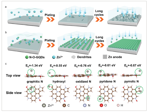 上海理工大学《AFM》：氮氧共掺石墨烯量子点作为无枝晶锌阳极的微量两性添加剂