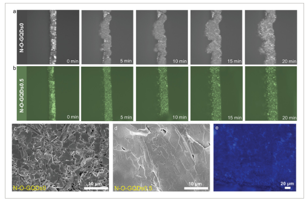 上海理工大学《AFM》：氮氧共掺石墨烯量子点作为无枝晶锌阳极的微量两性添加剂