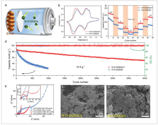 上海理工大学《AFM》：氮氧共掺石墨烯量子点作为无枝晶锌阳极的微量两性添加剂