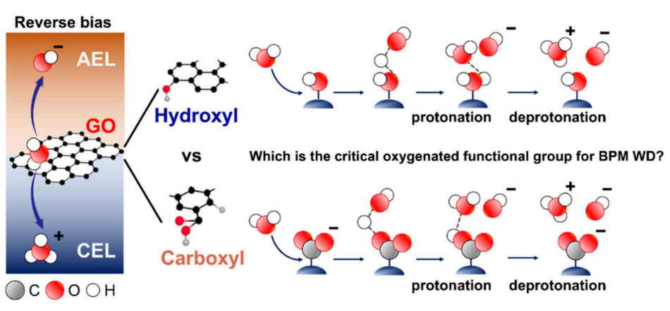 北京大学张子帅、左魁昌ACS Energy Letters ：石墨烯氧化物上关键含氧官能团对双极膜中高效水解离的影响研究