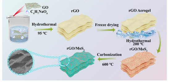 烟台大学《Carbon》：石墨烯/二硫化钼复合气凝胶，用于轻质、宽带电磁吸收等