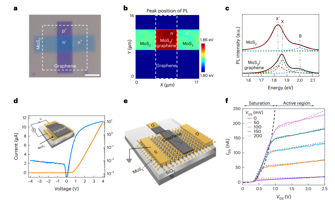 研究前沿：半导体所/香港大学-MoS2/石墨烯 | Nature Electronics