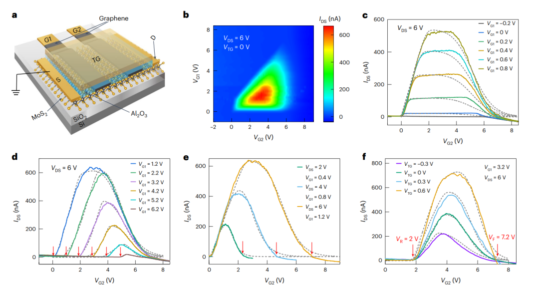 研究前沿：半导体所/香港大学-MoS2/石墨烯 | Nature Electronics