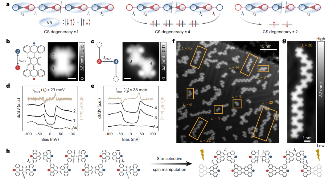 研究前沿：冯新亮团队纳米石墨烯-量子材料 | Nature Nanotechnology