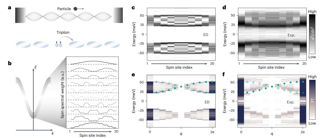 研究前沿：冯新亮团队纳米石墨烯-量子材料 | Nature Nanotechnology