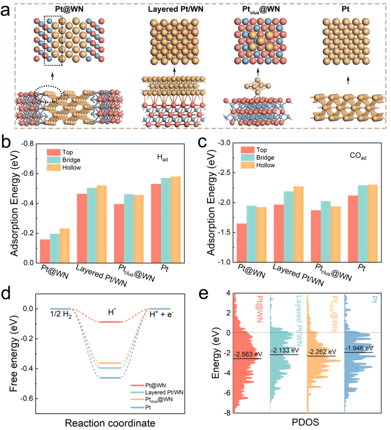 黑龙江大学，最新JACS！