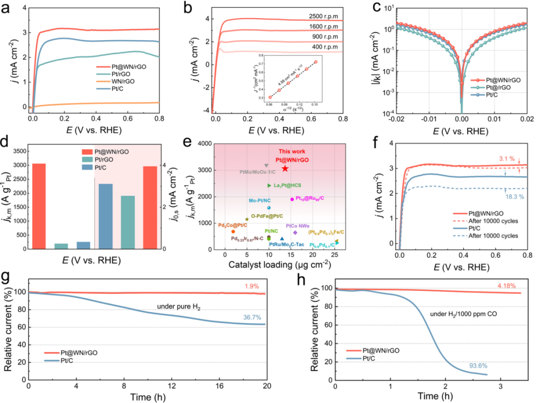 黑龙江大学，最新JACS！