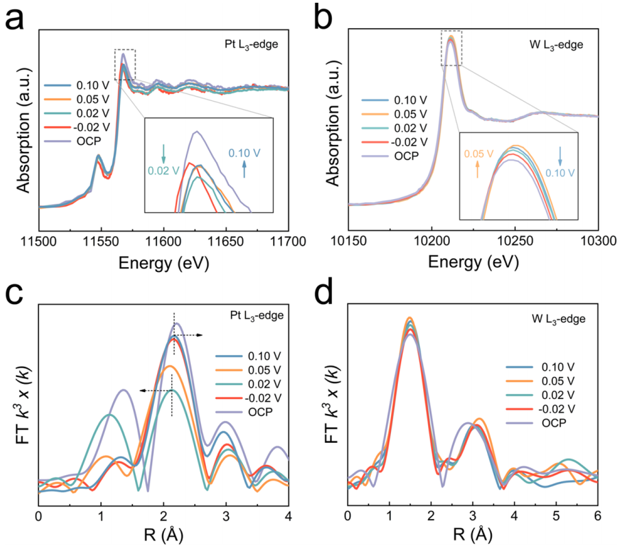 黑龙江大学，最新JACS！