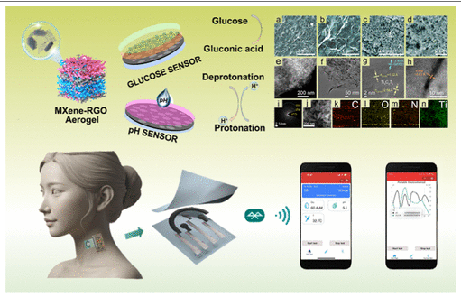 东南大学《ACS AMI》：三维 MXene-rGO多孔气凝胶，用于无创健康跟踪、个性化健身应用和诊断等