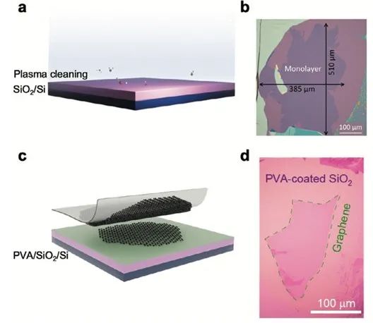 纽约大学，超低缺陷范德华异质结综述！Advanced Functional Materials