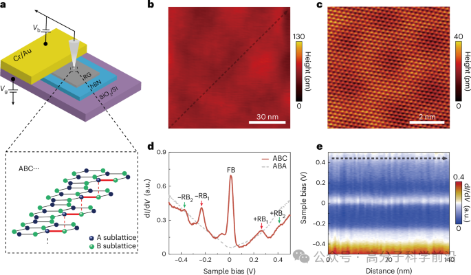 湖南大学、河北师范大学联手，最新Nature Nanotechnology，填补知识空白！