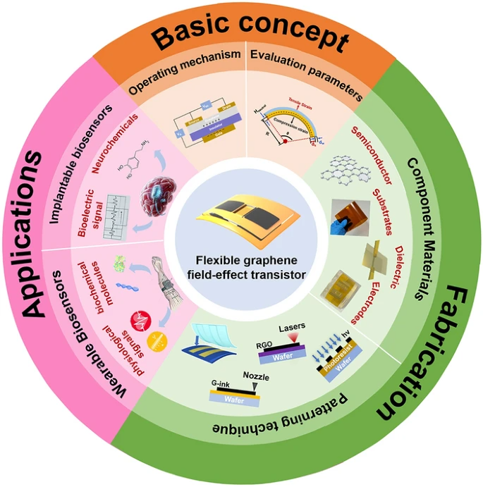 山大韩琳&张宇等综述：柔性石墨烯场效应晶体管及其在柔性生物医学传感中的应用
