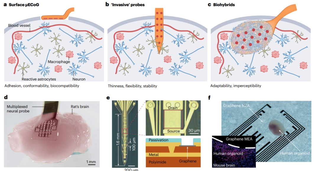 研究前沿：生物电子学-石墨烯 | Nature Reviews Materials